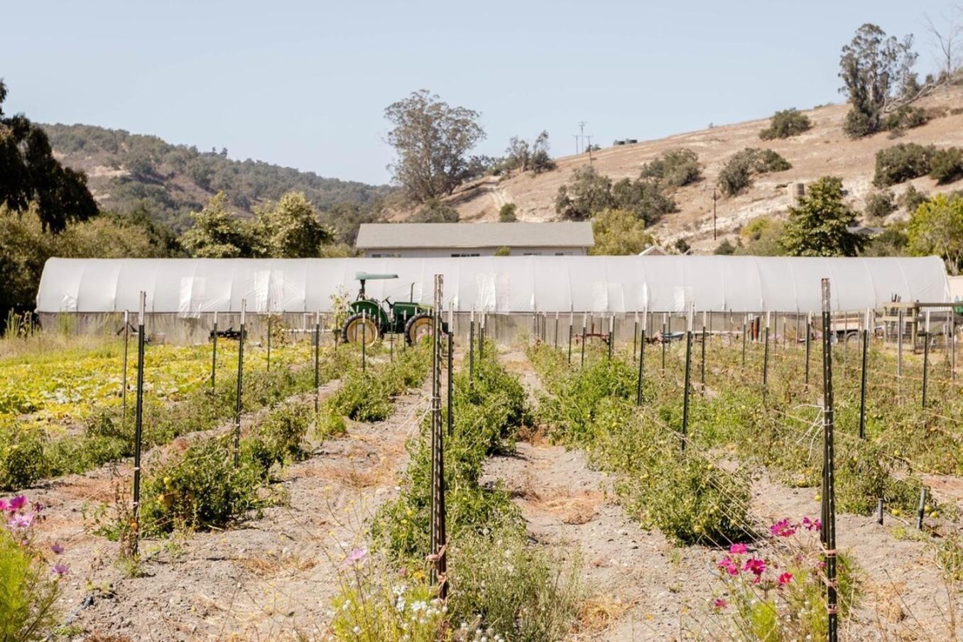 Wild Hair Studio-Stylish Farm Stay W Ev Charger Arroyo Grande Exteriér fotografie